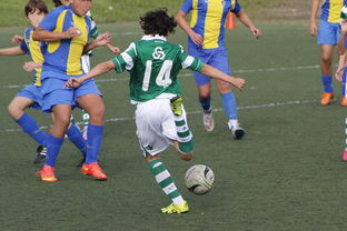 开云体育官方下载-莱昂纳多被上海申花主教练瞧不上，谁相信？如今在中超大杀四方，你们认为呢？